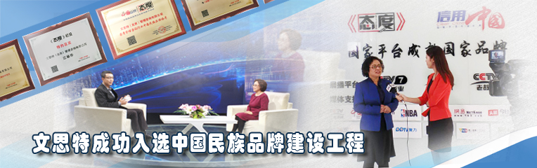 文思特成功入选中国民族品牌建设工程（1）